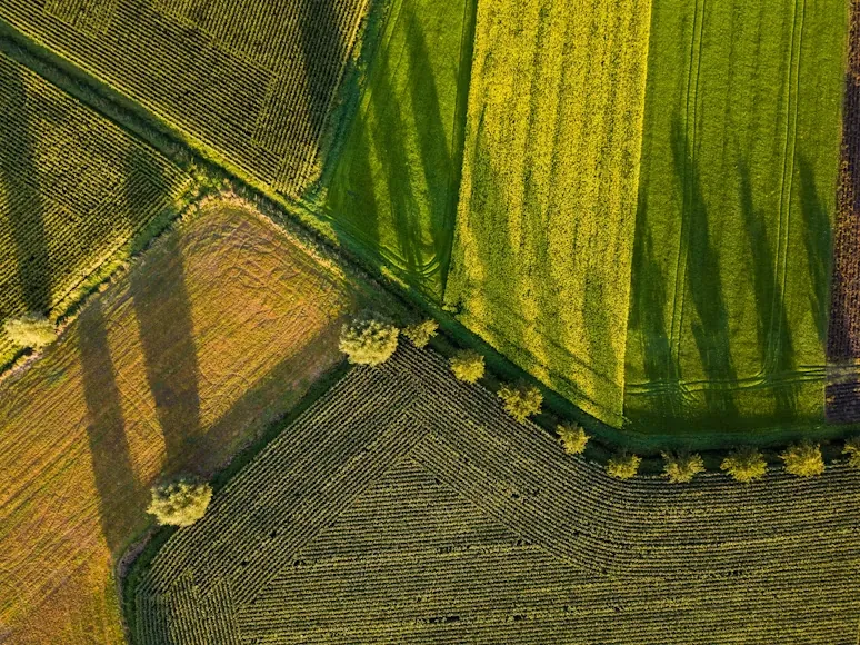 Aerial view of green and gold patchwork farmland stretching to the horizon