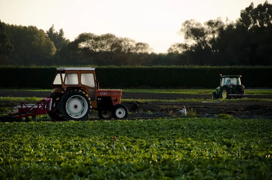 Tractors working farmland at dusk, readying produce for export